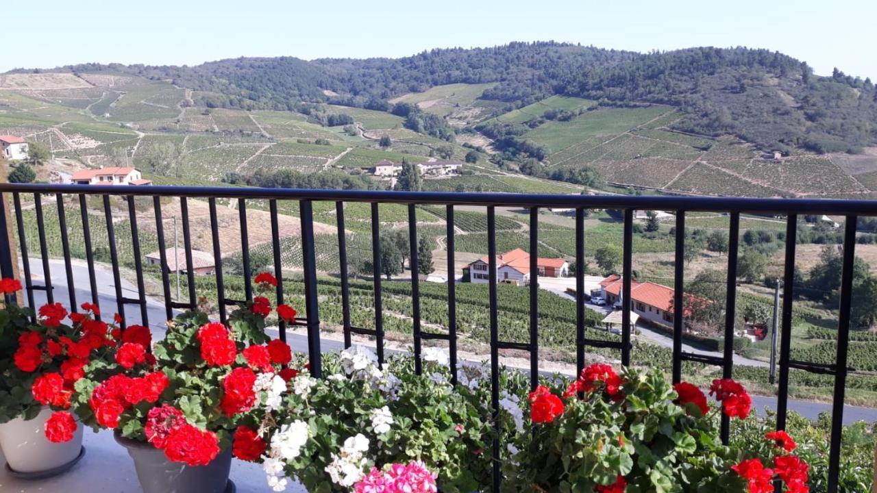 Domaine Du Coteau Des Lys Hotel Fleurie Exterior photo