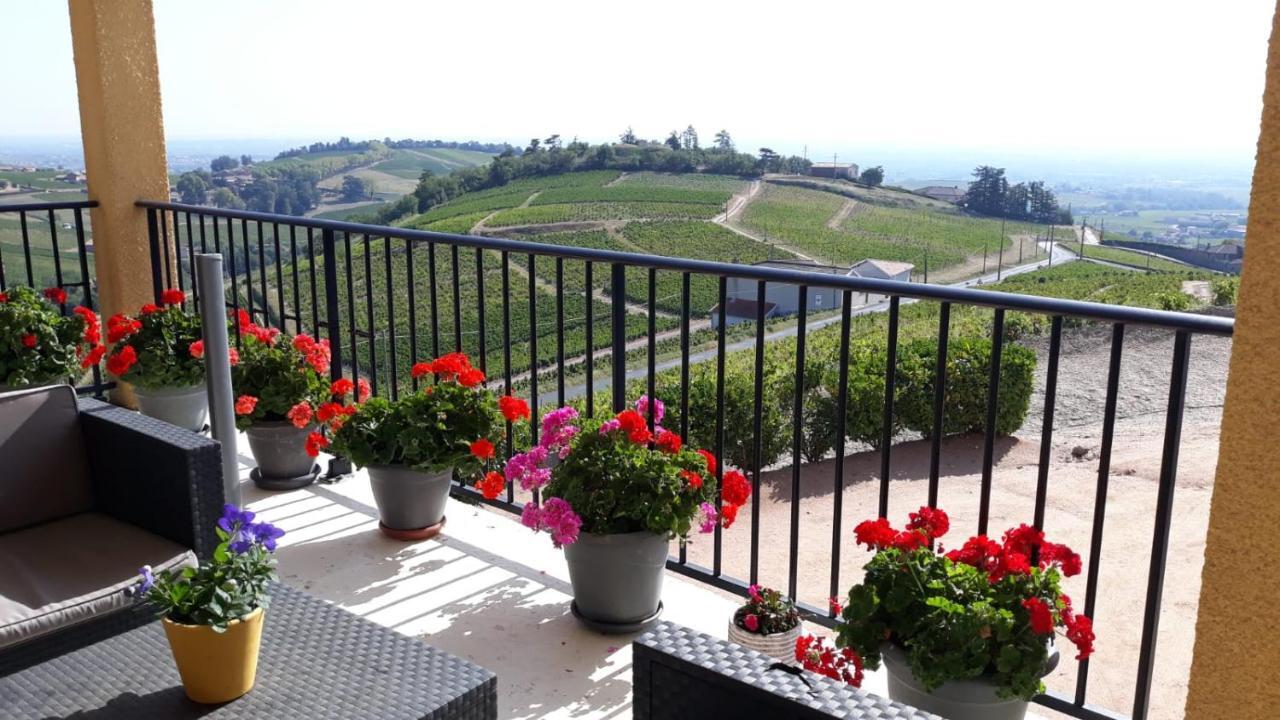 Domaine Du Coteau Des Lys Hotel Fleurie Exterior photo